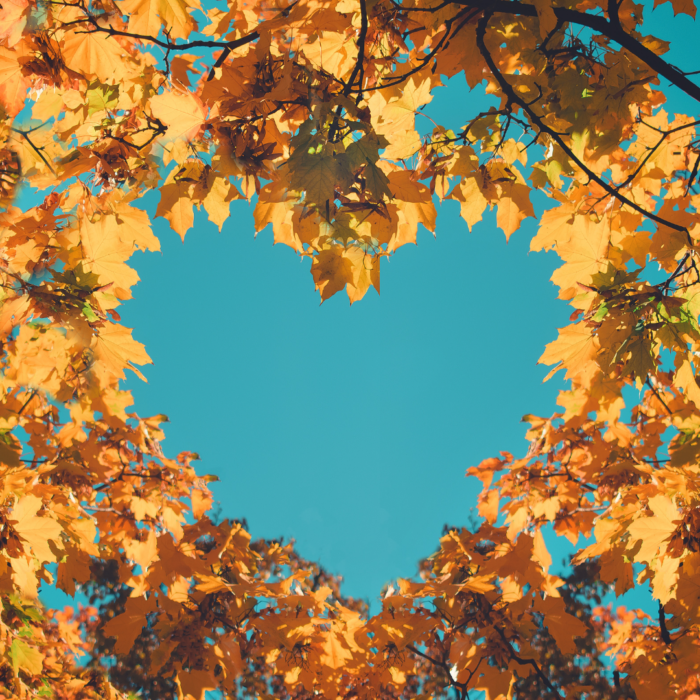 Stay Safe This Fall